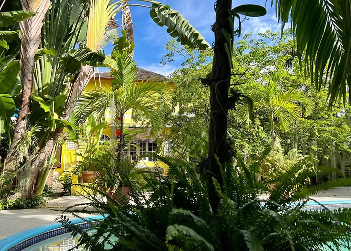 Kingston Guest Houses