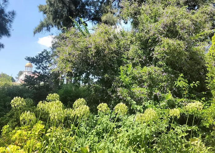 Midrand Guest Houses