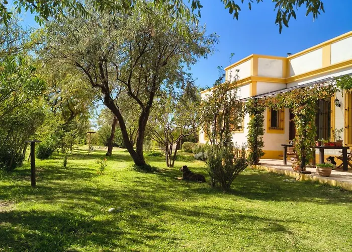 San Rafael (Mendoza) Guest Houses
